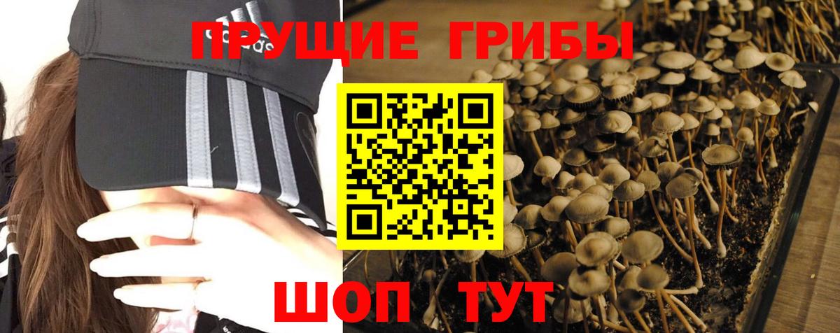 Галлюциногенные грибы MAGIC MUSHROOMS Норильск
